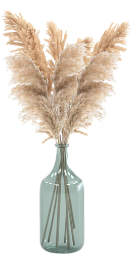 vase cropped