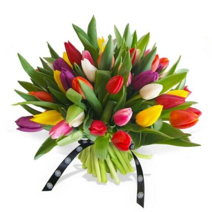 mixed tulips2 min 51562.1621408816