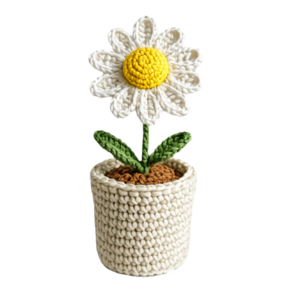 daisy bloom pot