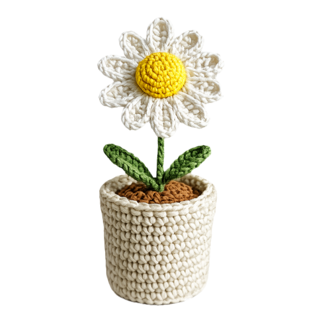 daisy bloom pot daisy bloom pot