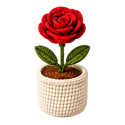 eternal rose pot