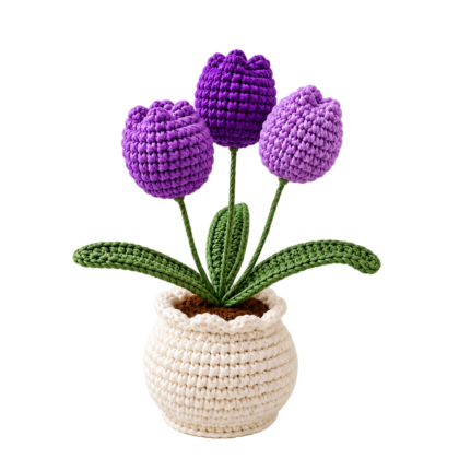lavedar pot